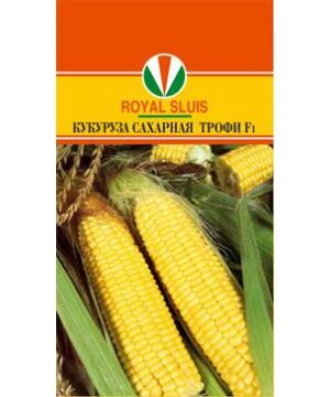 Кукуруза 15 шт	в упаковке
"Раннеспелый гибрид сахарной кукурузы,75 дней,Высота растения в среднем 2 метра. Длина початков 20-22 см с 14-16 рядами желтых зерен.
Раннеспелый гибрид сахарной кукурузы (75