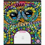 Тетрадь 24л линия 46619 Owls  {Россия}