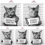Тетрадь 96л клетка &quot;Кот-обормот&quot; (053332) Хатбер-М {Россия}