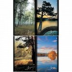 Блокнот А5 40л клетка &quot;ПРИРОДА&quot; 4 вида 3-40-499 Альт {Россия}