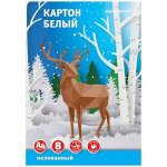 Набор картона белого А4 8л мелованый в папке КБМ8А4-ШК SchoolФормат {Россия}
