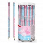 Карандаш черногр. &quot;Flamingo&quot; с ластиком HB в тубе (056003) 72251 Хатбер-М {Китай}