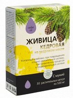 Живица  кедровая на кедровом масле с мумиё