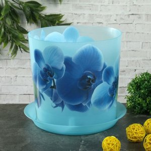 Кашпо с поддоном   «Деко. Орхидея», 2,4 л, цвет голубой