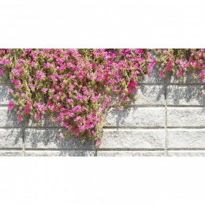 Greengo Фотобаннер, 300 ? 200 см, с фотопечатью, люверсы шаг 1 м, «Стена с цветами»