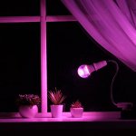 СВЕТильники, люстры, бра! 💡 Фитолампы
