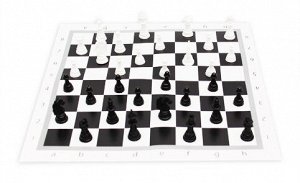 Настольная игра Рыжий кот Шахматы настольные классические + поле 28,5х28,5 см17