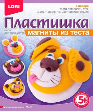 Магниты из теста Милые мордашки13