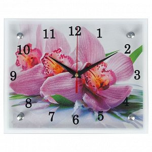 Часы настенные, серия: Цветы, "Орхидея", 20х25  см, в ассортименте