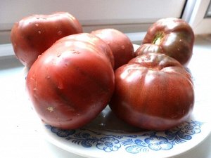 Помидоры — Early Cherokee Purple