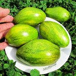 Помидоры Гном Дерзкая Машка — Tomato Dwarf Saucy