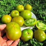 Помидоры Лайм Грин Салад — Lime Green Salad
