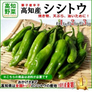 Сладкий Японский Чили Перец Шишито Тогараши — Shishito Togarashi — シシトウガラシ
