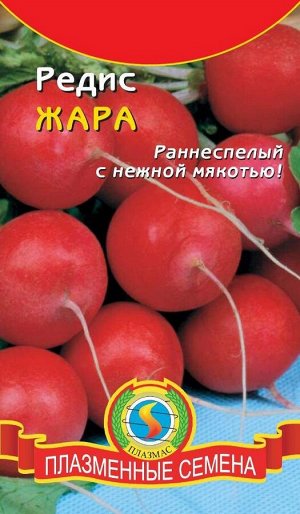 Редис Жара ЦВ/П (ПЛАЗМА) раннесп. кругл.