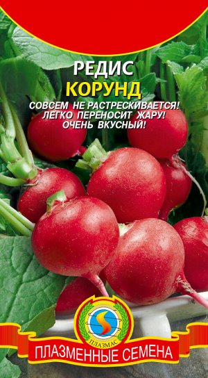 Редис Корунд Б/П (ПЛАЗМА) Раннеспелый круглый