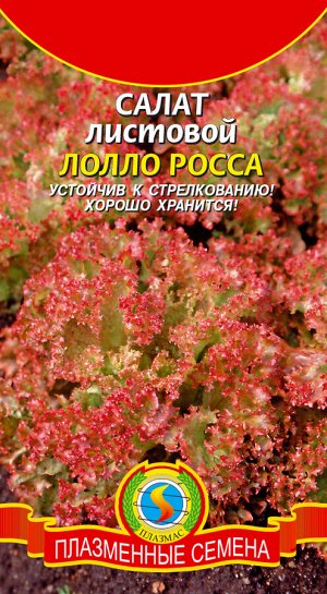 Салат Лолло Росса ЦВ/П (ПЛАЗМА) раннеспелый листовой красный