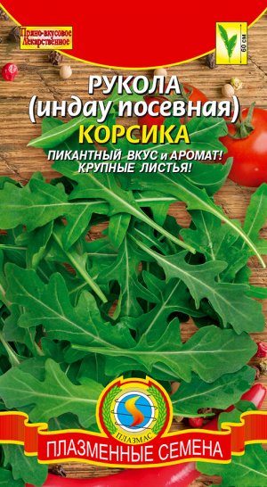 Салат Рукола Корсика ЦВ/П (ПЛАЗМА) РЭМ скороспелый