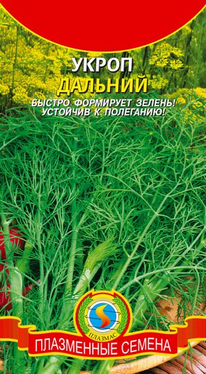 Укроп Дальний ЦВ/П (ПЛАЗМА) раннесп.