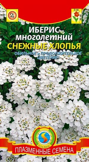 Цветы Иберис Снежные хлопья (ЦВ/П (ПЛАЗМА) многолетнее 30см