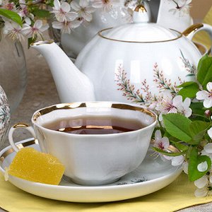 Сервиз чайный фарфоровый "Нина" 15 предметов на 6 персон, форма "Тюльпан", ручная роспись (Россия)