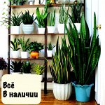 Ликвидация склада! Огромные скидки на всё