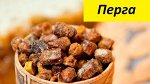 Перга пчелиная