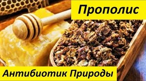 Прополис 10гр