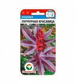 Цветы семена