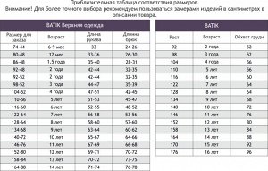 Термоджемпер для мальчика