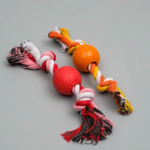 Игрушка канатная с подвижным шаром, до 22 см, микс цветов