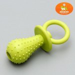 Игрушка жевательная &quot;Соска&quot;, TPR, 9,5 см, микс цветов