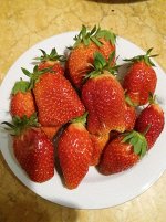 Солнечная поляна