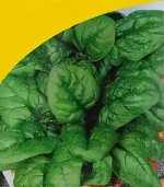 Семена Шпинат «Исполинский»