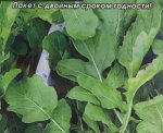 Семена Индау-руккола «Гурман»