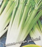 Семена Сельдерей черешковый «Танго»