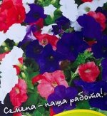 Семена Петуния гибридная смесь