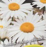 Семена Нивяник наибольший «Аляска»