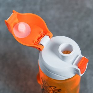 Бутылка для воды «Панда», 700 мл