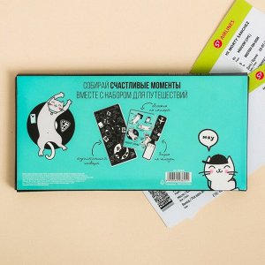 Набор "Для котопутешествий", туристический конверт, обложка на паспорт, бирка на чемодан
