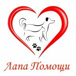🐱 Для наших любимцев! Есть Благотворительная акция