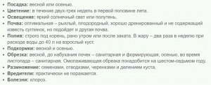 Пузыреплодник калинолистный Литтл Девил