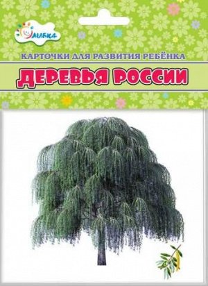 Уч.карточки"Деревья России"