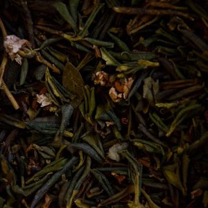 Рододендрон Адамса(Сагаан-Дали) лист+побег+цвет