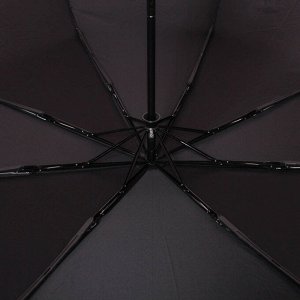 Зонт мужской 009003 FJ