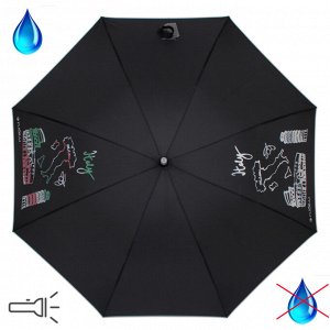 Зонт женский 300801 FJ
