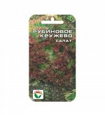 Салат семена