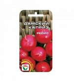 Редис семена