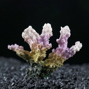 Декоративный коралл "Синулярия", 7 х 4 х 7 см 1279940