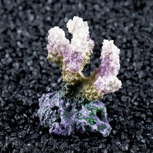 Декоративный коралл Синулярия, 7 х 4 х 7 см