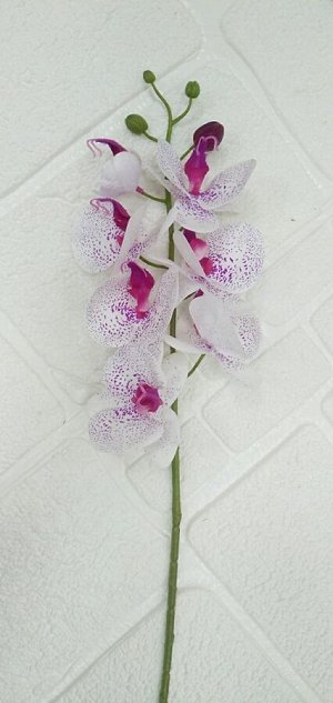 Цветы Орхидея из силикона.
Высота 75см, 6цв⊙7см ,1цв⊙5см.
Цвет как на фото.